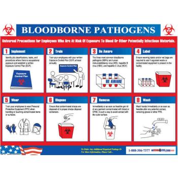 Bloodborne Pathogens Training Poster