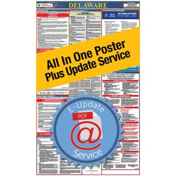Delaware All In One Poster + 1 Year E-Update Service