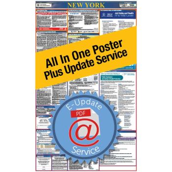 New York All In One Poster + 3 Year E-Update Service