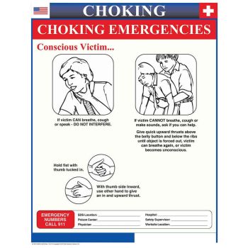 Arizona Choking Poster